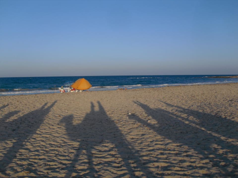 Kamel reiten Hotel El Mouradi Djerba Menzel