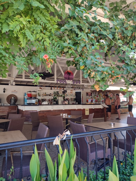 Gastro Club Turtas Beach Hotel