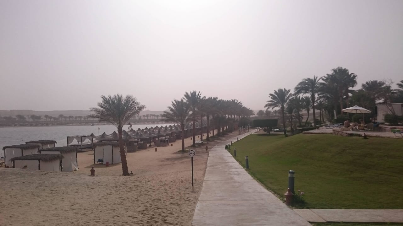 Weg zu Strand Steigenberger Coraya Beach - Adults only