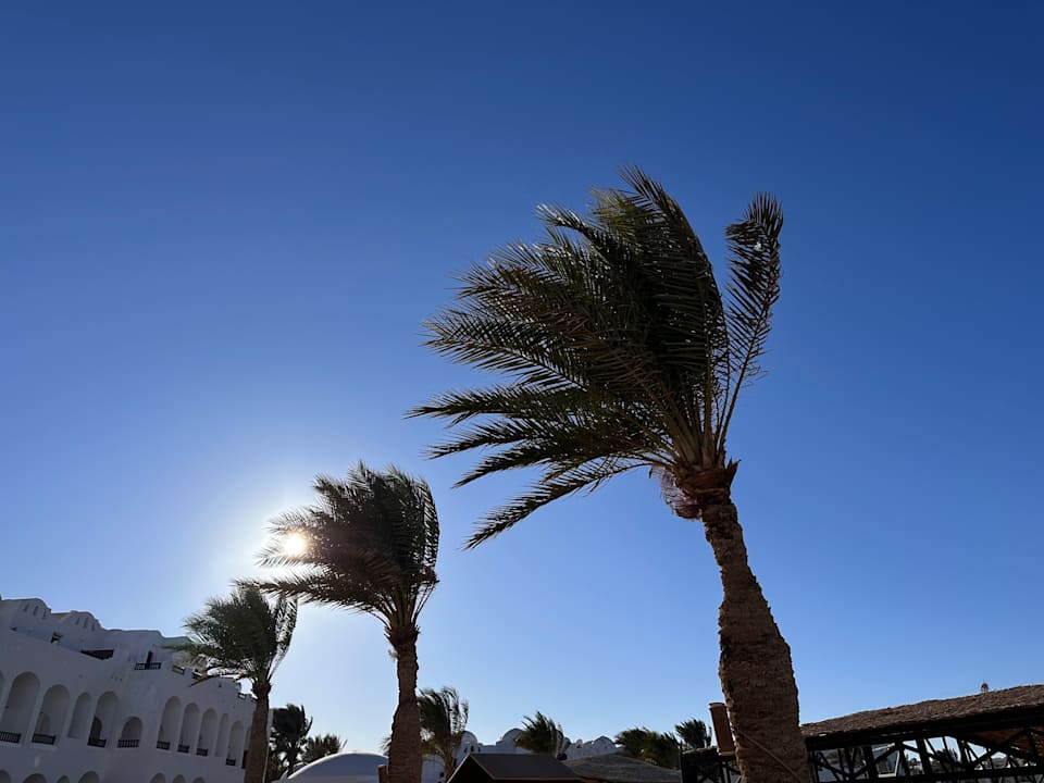 Außenansicht Arabella Azur Resort