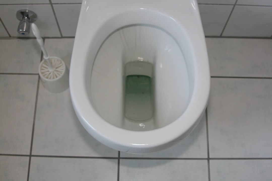 Verdrecktes WC Villa Baltia