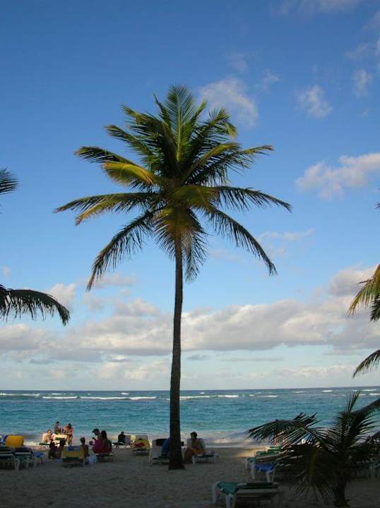 Strand Hotel Riu Bambu