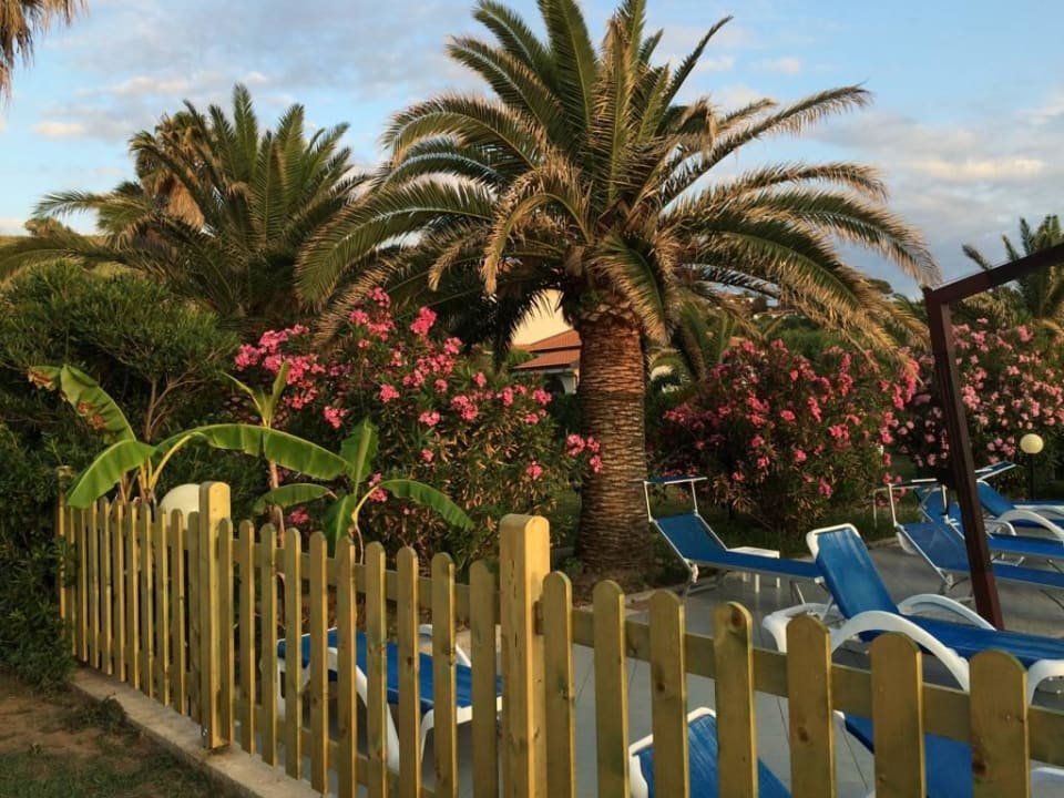 Blick Richtung Pool Villaggio Torre Ruffa Robinson