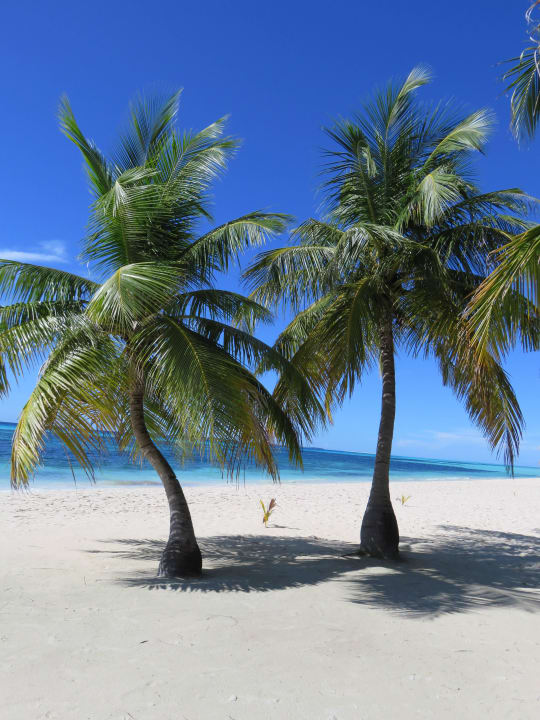 Strand Kuredu Island Resort & Spa