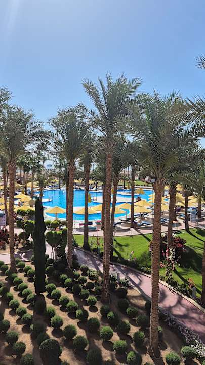 Ausblick Pickalbatros Palace Resort