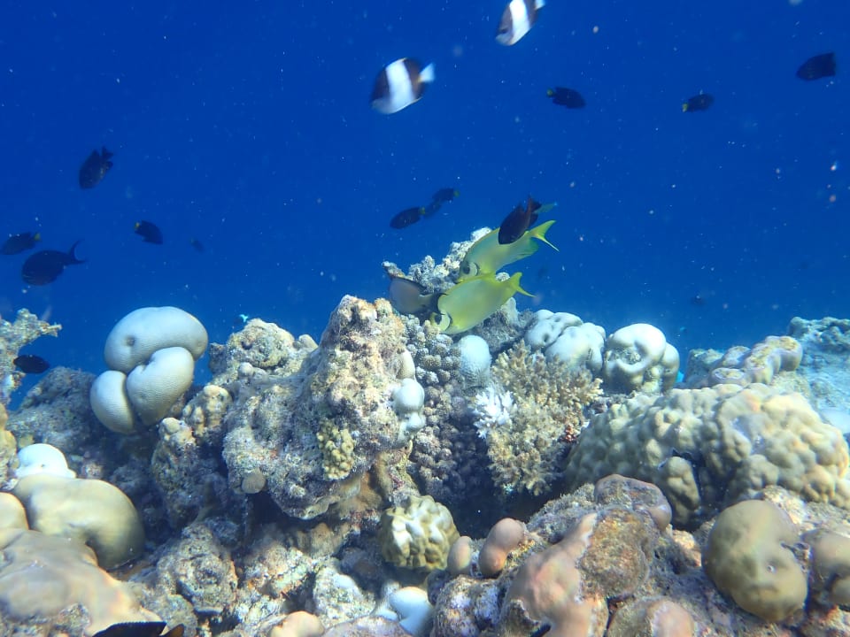 Sport & Freizeit Filitheyo Island Resort