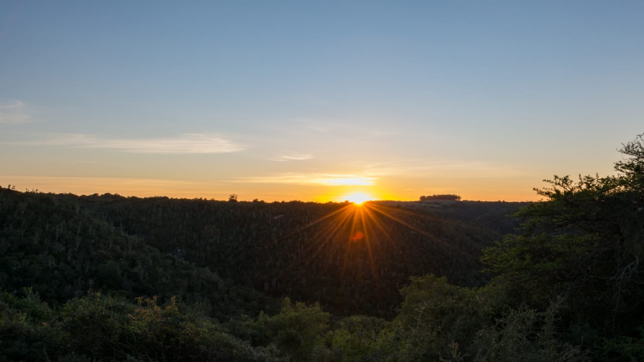 Blick vom Zimmer Kariega Game Reserve - Main Lodge