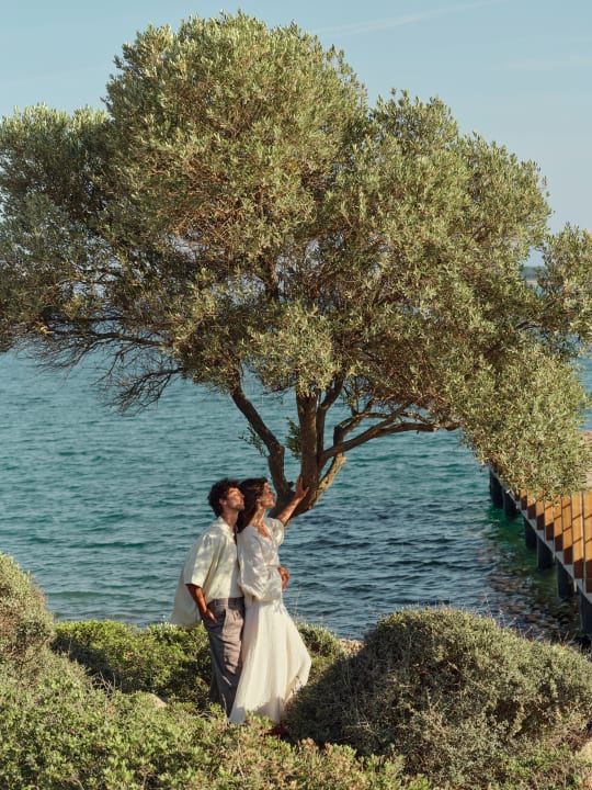 Gartenanlage Anda Barut Collection