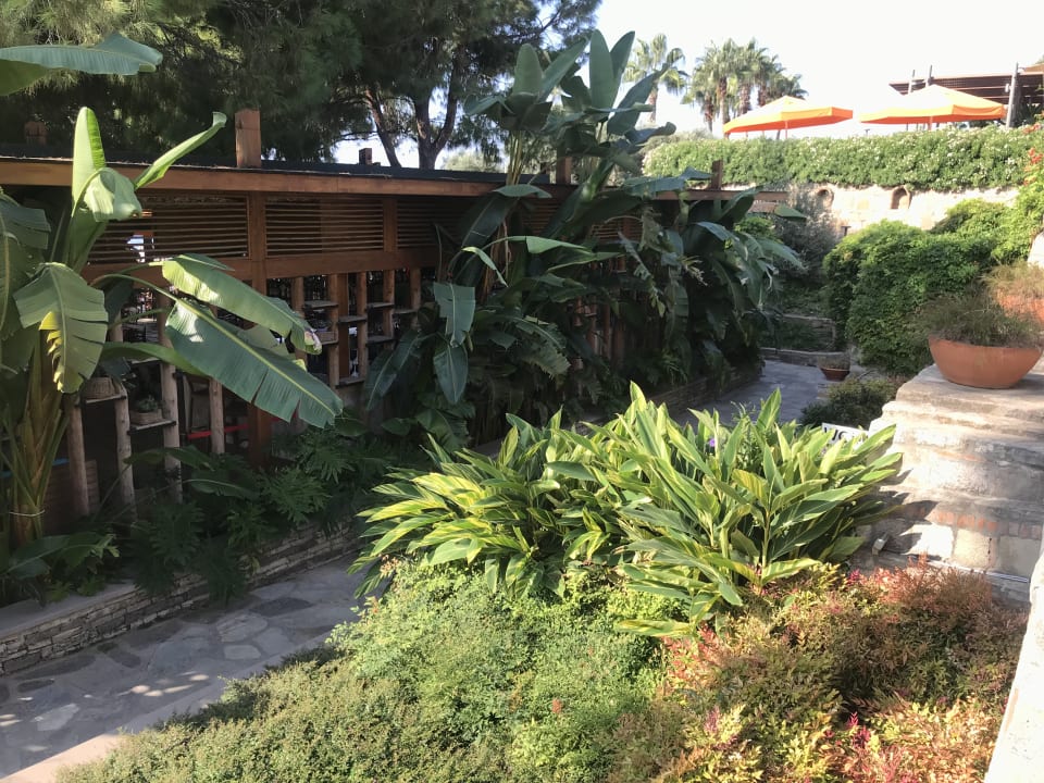 Ausblick Arum Barut Collection