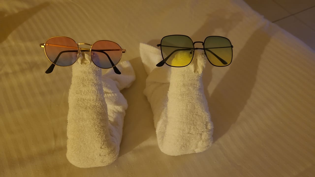 Zimmer Ghazala Gardens