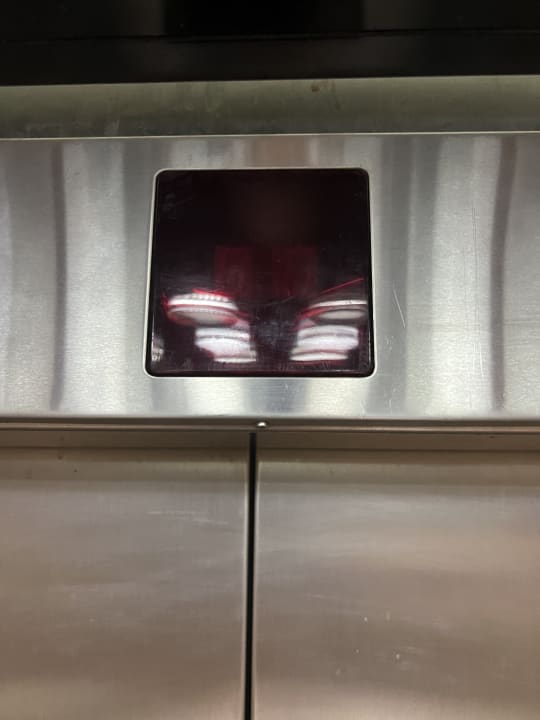 Zimmer PALOMA Perissia