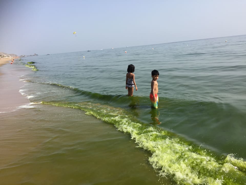 Strand Miramar Al Aqah Beach Resort