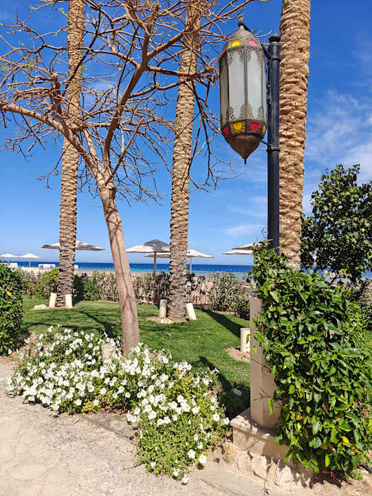 Außenansicht Makadi Spa - Adults only