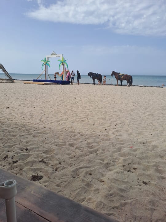 Strand Welcome Meridiana Djerba Hotel