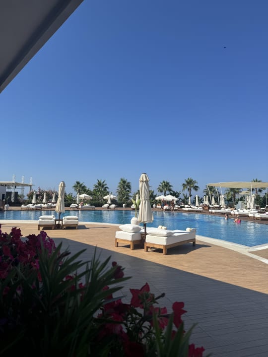 Pool Rubi Platinum Sign