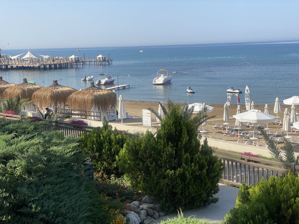 Strand PALOMA Perissia