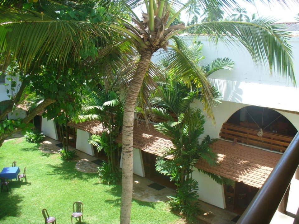 Blick vom Balkon Hotel Club Palm Garden