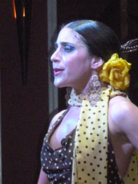 Flamenco un soir Hipotels La Geria