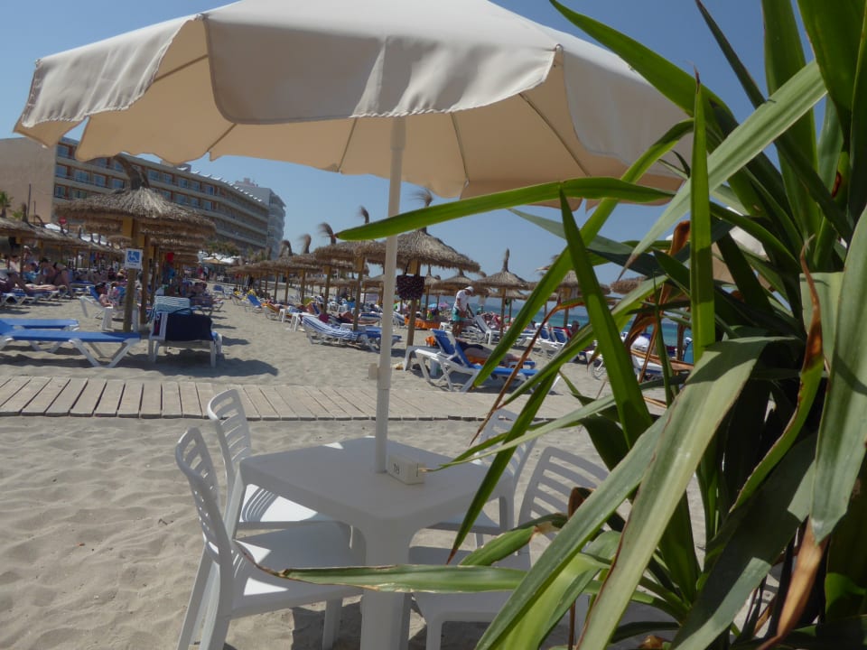 Strand Vista Park Apartments