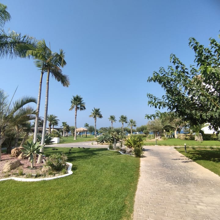 Gartenanlage TUI BLUE Oceanis Beach and Spa Resort