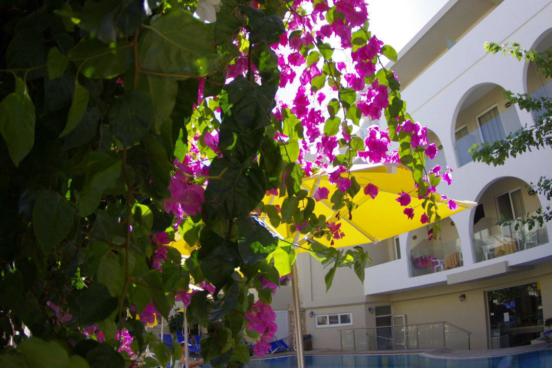 Tout en fleurs  Dimitrios Beach Hotel