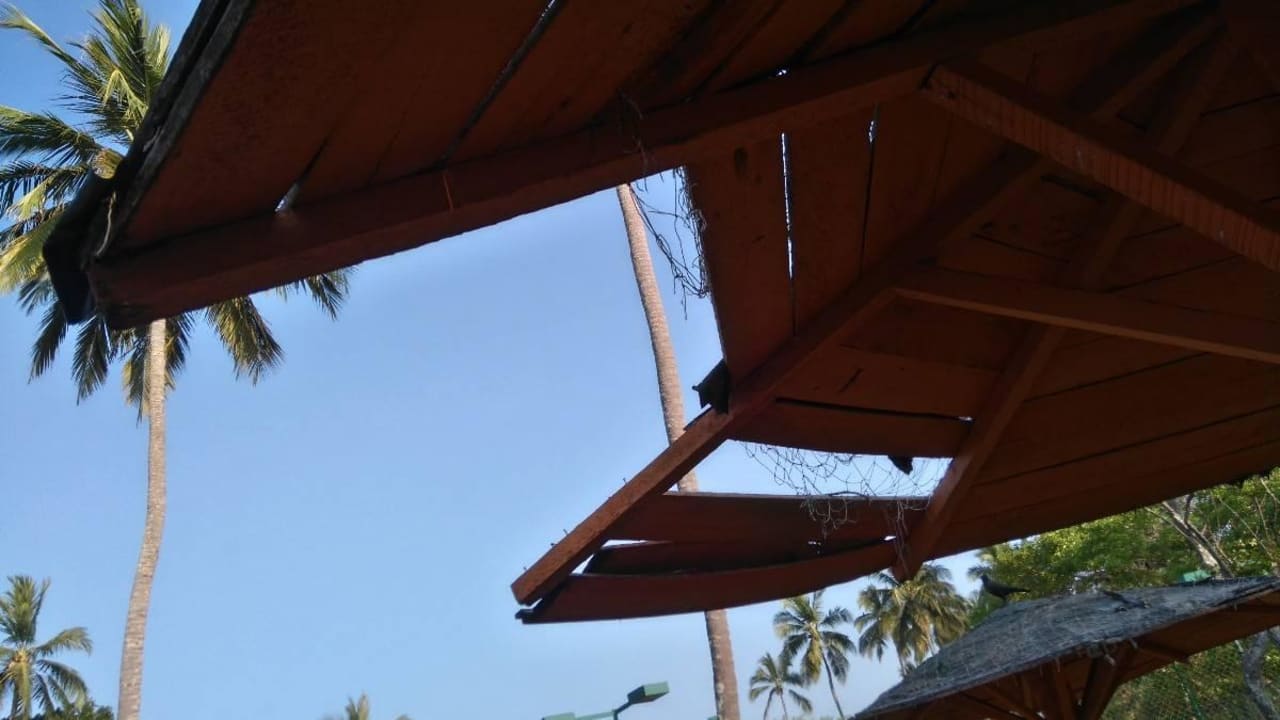 Sonnenschirm ohne Worte Club Palm Bay