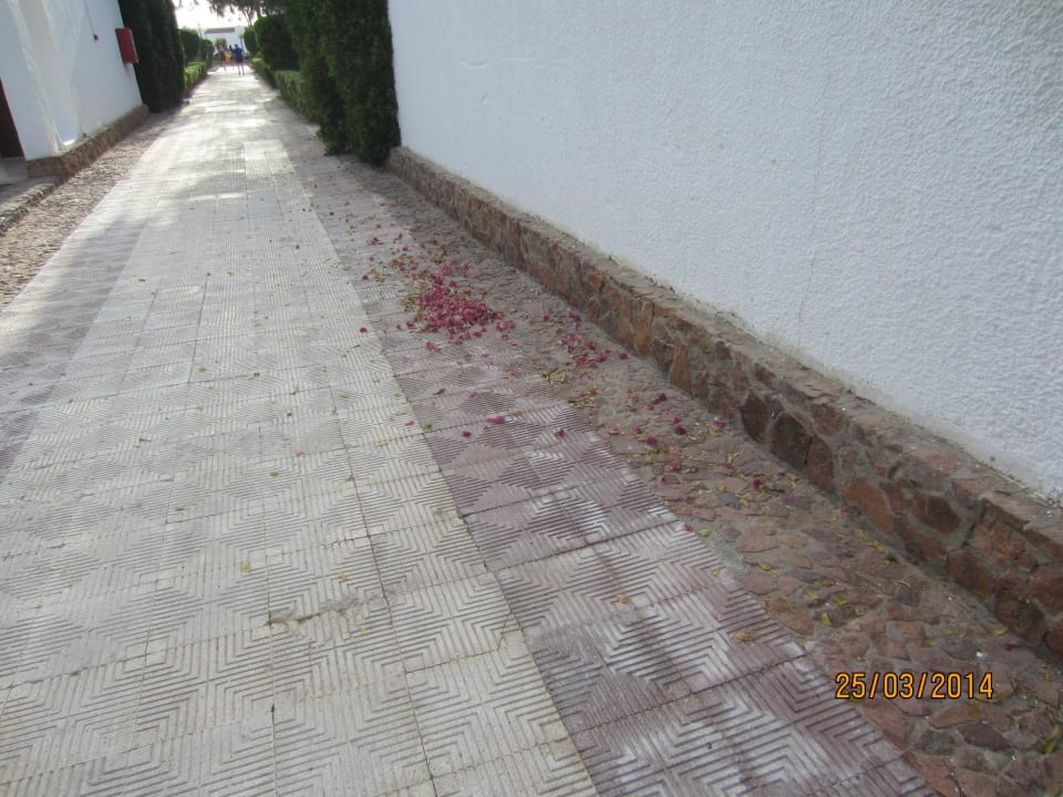 Nicht gekehrt Menaville Safaga