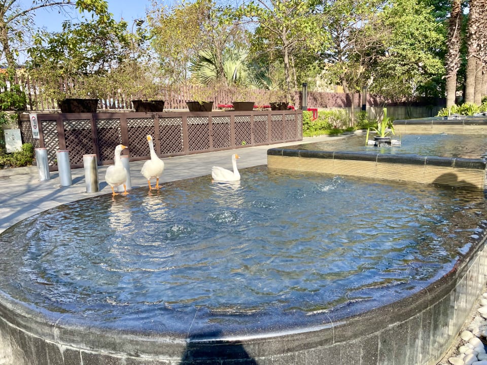 Außenansicht The Leela Ambience Convention Hotel Delhi