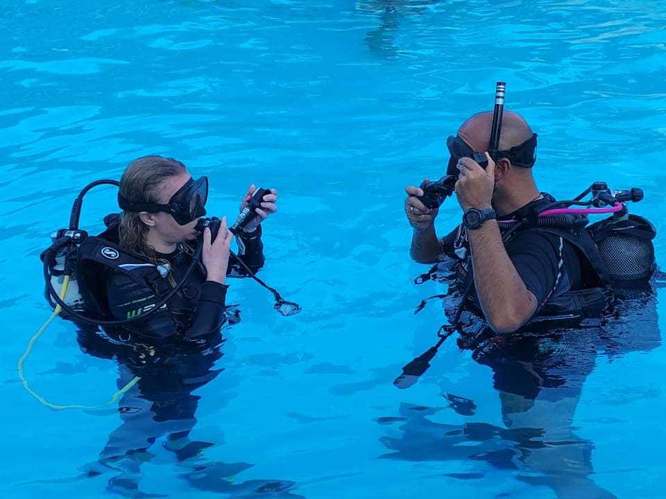 Sport & Freizeit Alexandros Palace