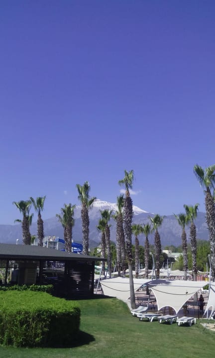 Природа на территории отеля Limak Limra Hotel & Resort