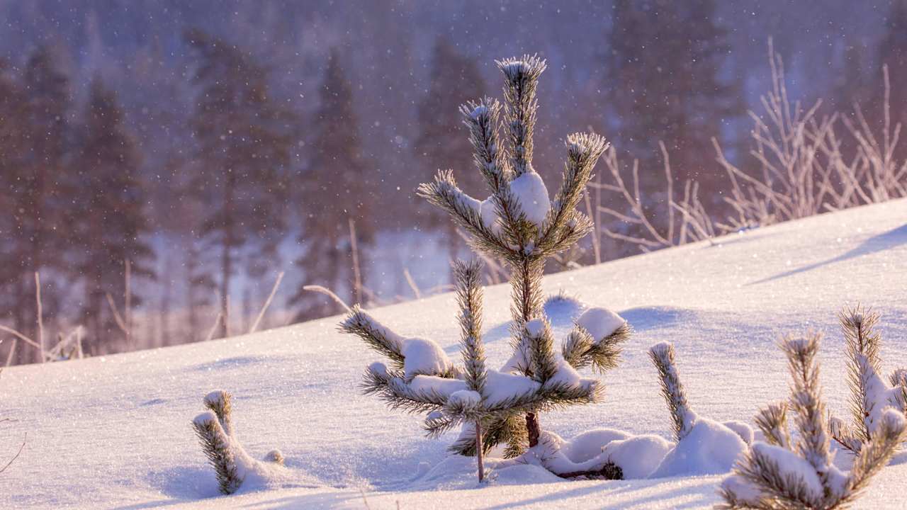 Real nature Lekotti Vacation Club