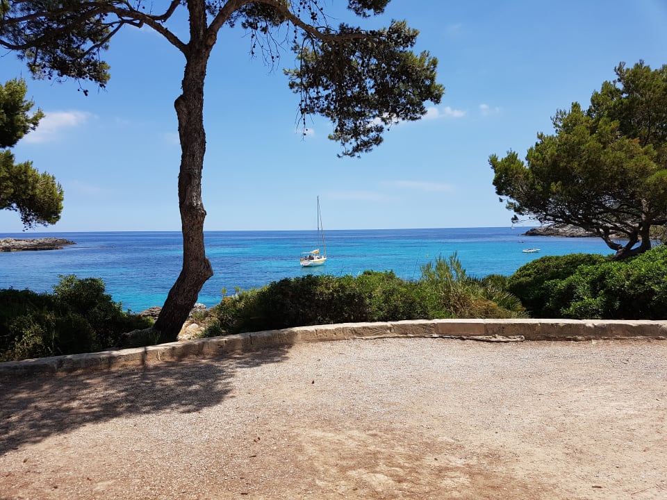 Außenansicht Iberostar Waves Pinos Park