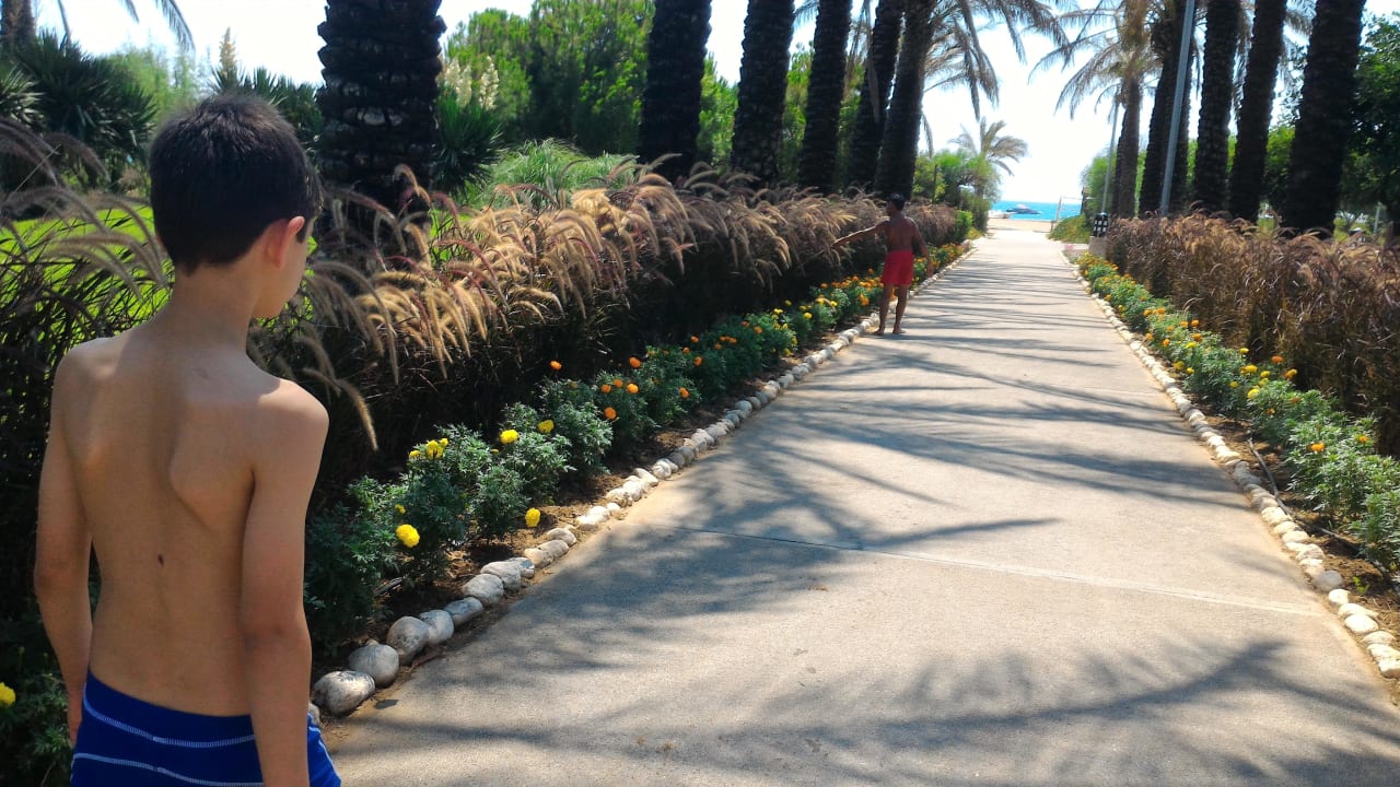 Allee zum Sandstrand... AQI Pegasos World