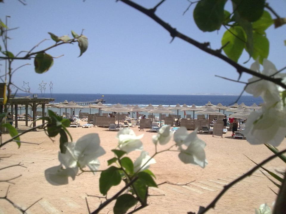 Blick zum Meer Charmillion Gardens Aquapark