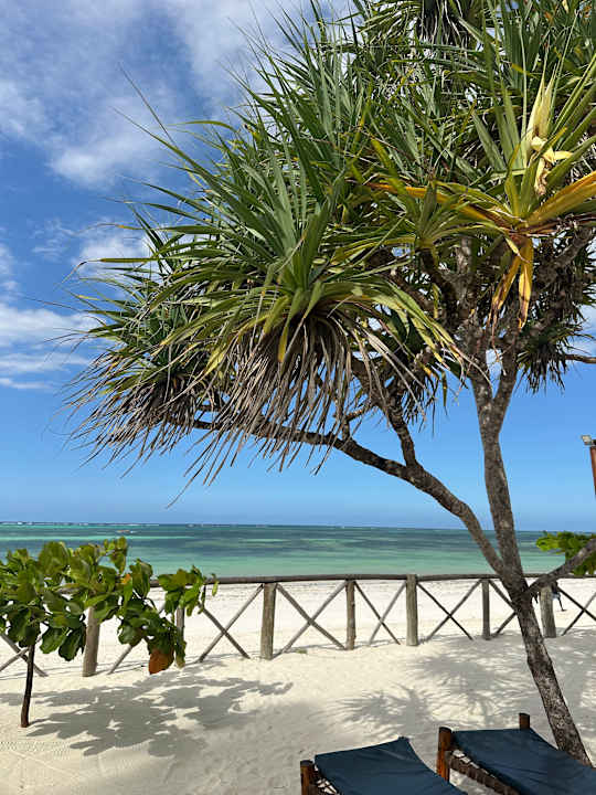 Strand Ocean Paradise Resort & Spa