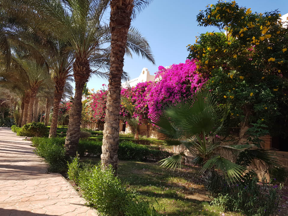 Gartenanlage Dream Lagoon Resort & Aqua Park
