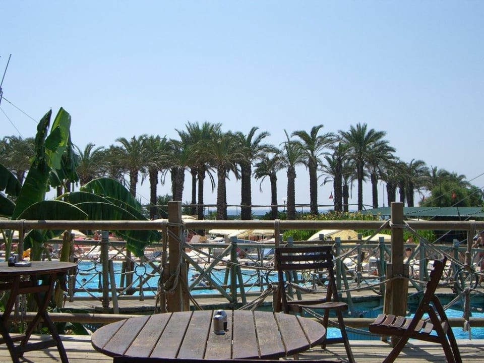 Joy Pegasos World AQI Pegasos World