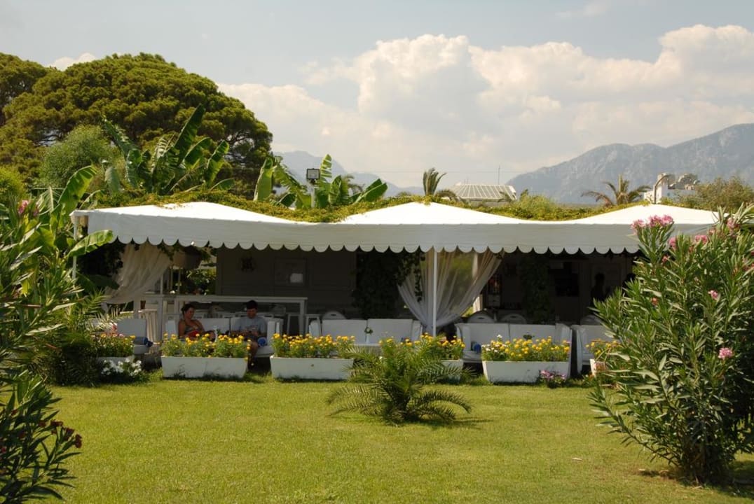 Beach  Pasha's Princess by Werde Hotels- Adults only ( +16 )