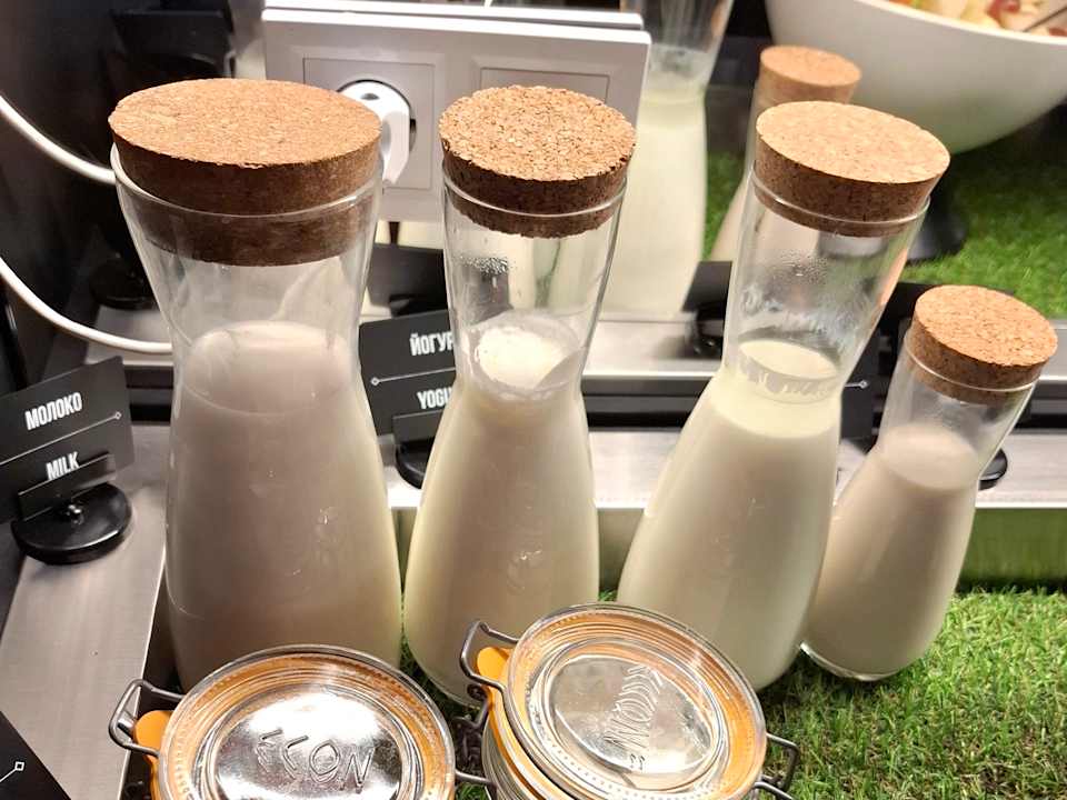 Gastro ibis Lviv Center