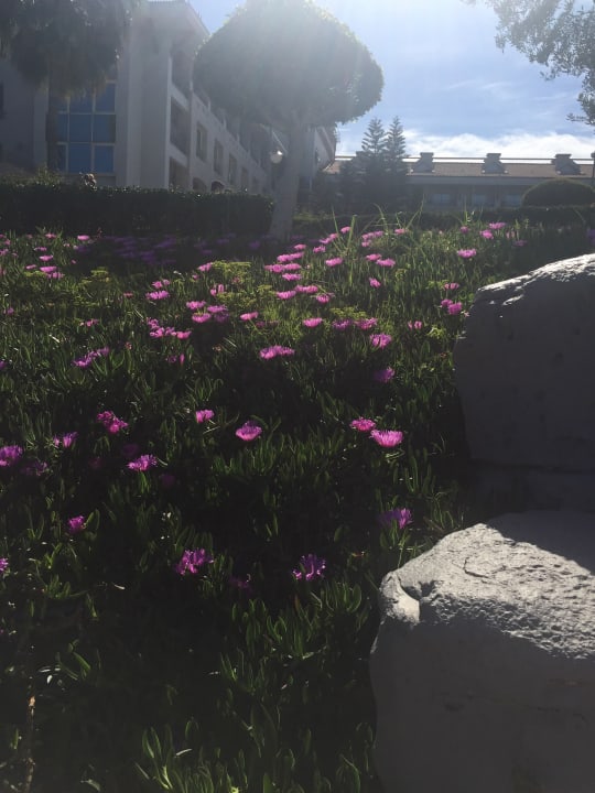 Gartenanlage Fame Residence Kemer & Spa