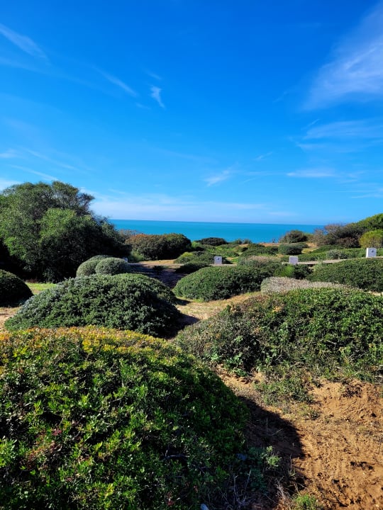 Gartenanlage Hipotels Gran Conil Hotel