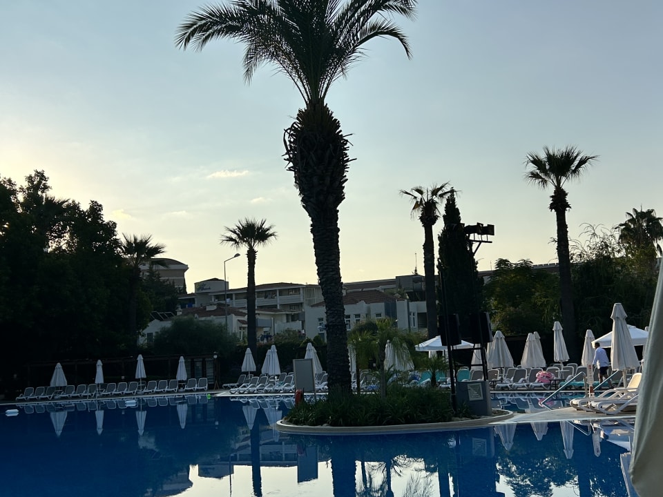 Pool Side Star Elegance