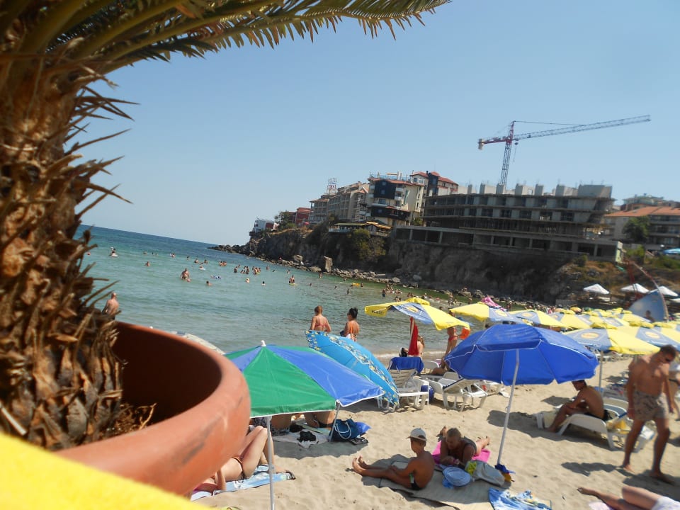 Blick auf den Strand Hotel Selena Star