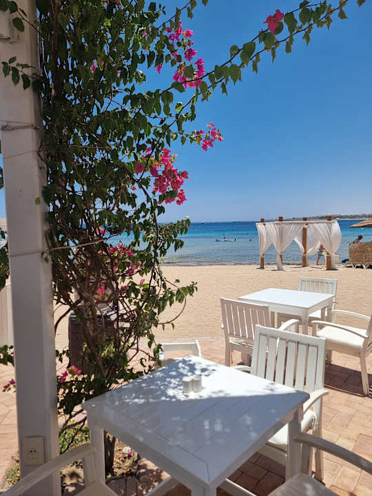 Gastro Fort Arabesque Resort, Spa & Villas