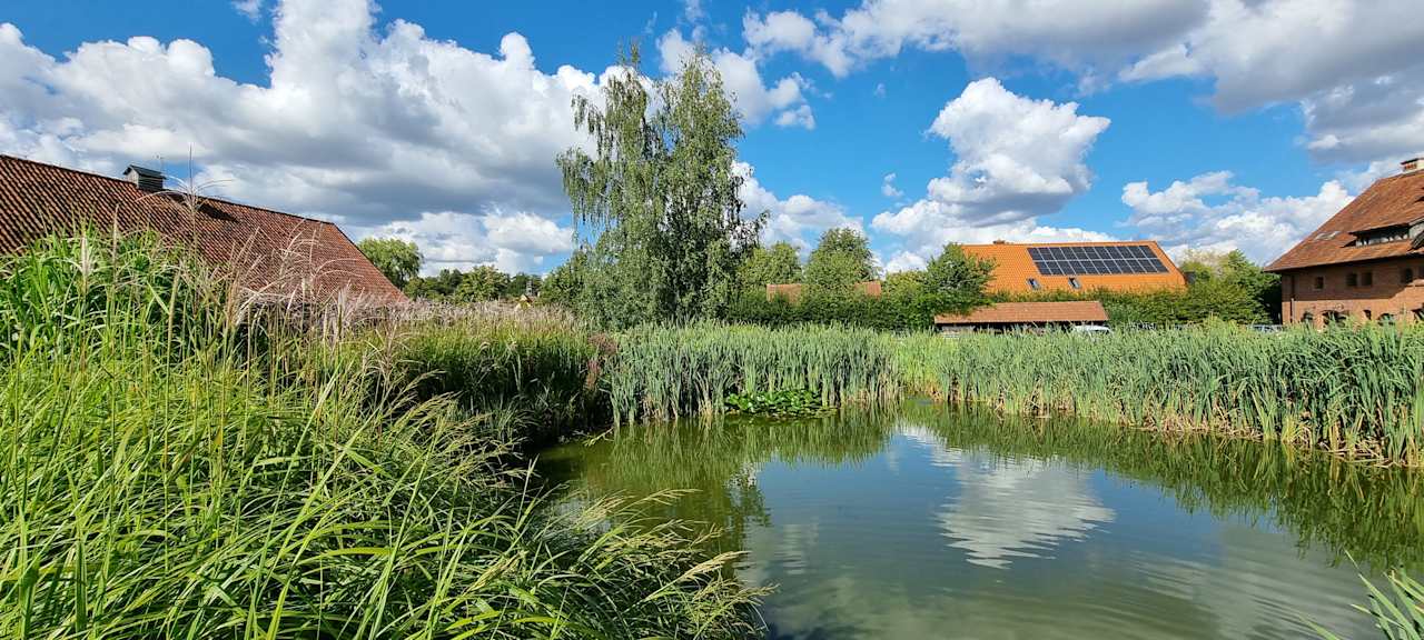 Gartenanlage Pałac i Folwark Galiny