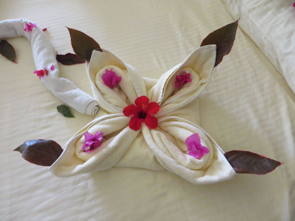 Zimmerboy Deko Pickalbatros Dana Beach Resort - Hurghada