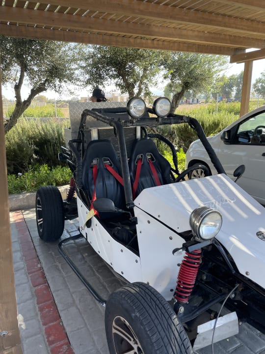 Sport & Freizeit TUI BLUE Palazzo del Mare