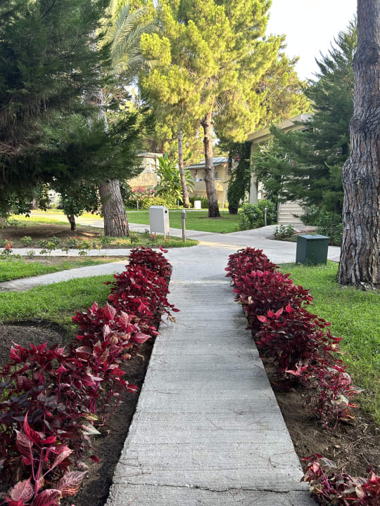 Gartenanlage Club Sidelya Hotel