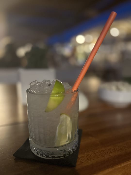 Gastro Cactus Royal