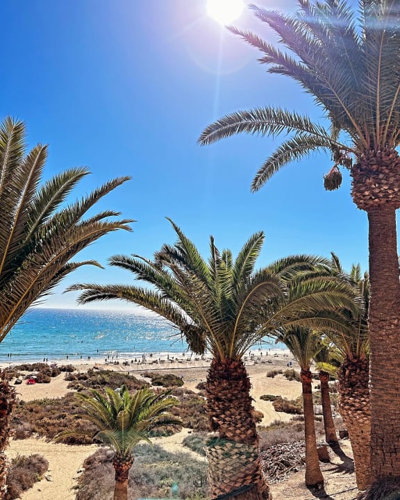 Strand SBH Monica Beach Resort